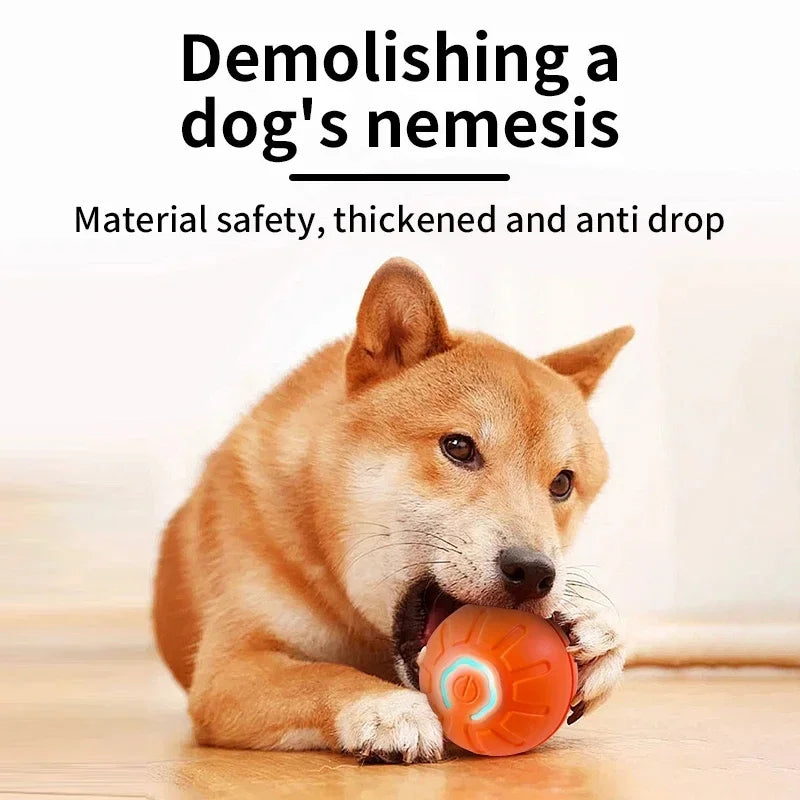 Smart Jumping Ball Toy for Dogs & Cats