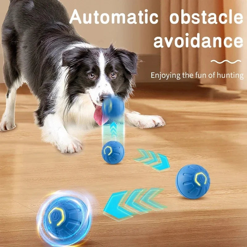 Smart Jumping Ball Toy for Dogs & Cats